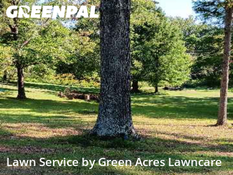 Yard Upkeep in Kingsport, 37664, Weed Trimming by Green Acres Lawncare , work completed in Nov , 2025