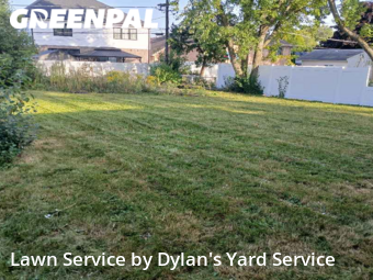 Grass Care in Villa Park, 60181, Mowing Services by Dylan's Yard Service , work completed in Dec , 2025