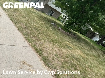 Grass Cut nearby Maplewood, MN, 