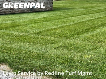 Lawn Mow nearby Pataskala, OH, 