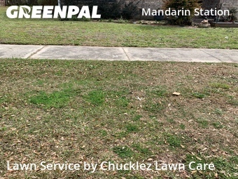 Lawn Cutting nearby Jacksonville, FL, 