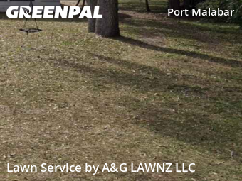 Yard Cutting nearby Palm Bay, FL, 