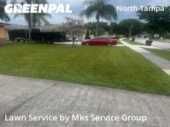 Grass Care in Lake Magdalene, 33618, Lawn Care by Mks Service Group, work completed in Dec , 2025
