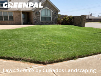 Grass Cut nearby Lubbock, TX, 