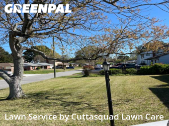 Lawn Mow nearby Virginia Beach, VA, 