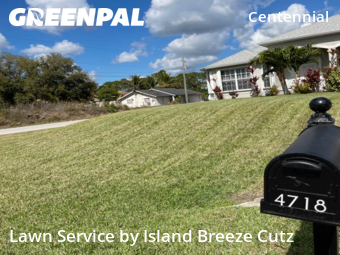 Lawn Cut nearby Lehigh Acres, FL, 