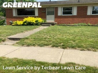 Lawn Mow nearby Wayne, MI, 