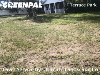 Yard Cutting nearby Tampa, FL, 