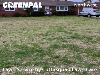Lawn Care nearby Virginia Beach, VA, 