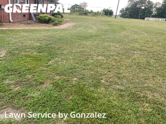 Lawn Mow nearby Zebulon, NC, 