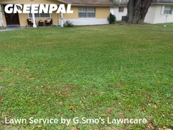 Lawn Cut nearby Ocala, FL, 