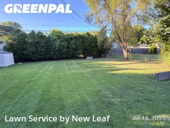 Yard Cutting nearby Waterford Township, MI, 