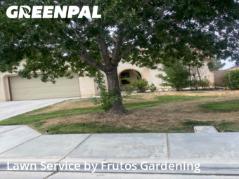 Work completed by grass-trimming-service-in-Lancaster-CA