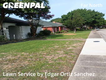 Grass Cut nearby Dallas, TX, 