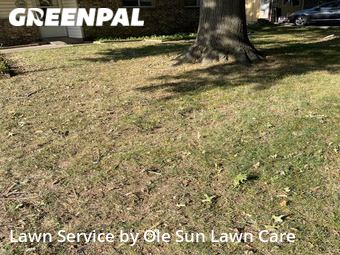 Lawn Care nearby Rogers, AR, 