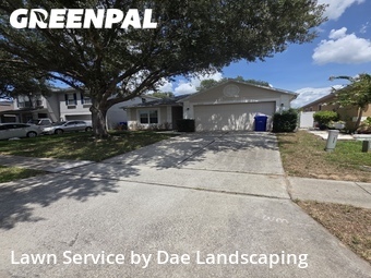 Yard Cutting nearby Tavares, FL, 