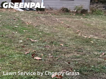 Grass Cutting nearby Hillsdale, NJ, 