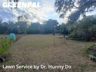 Lawn Mow nearby Mulberry, FL, 