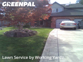 Lawn Mowing in Kent, 98031, Yard Cutting by Working Yardz, work completed in Nov , 2025