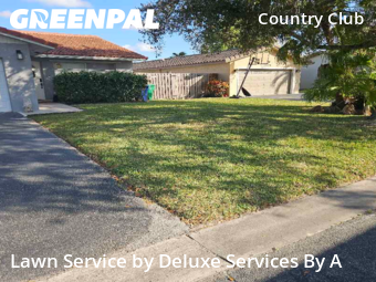 Lawn Upkeep in Coral Springs, 33065, Lawn Cutting by Deluxe Services By A, work completed in Nov , 2025