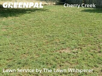 Lawn Cutting nearby Elverta, CA, 