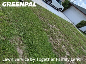 Lawn Care Service nearby Port Charlotte, FL, 