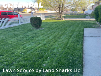 Grass Cutting nearby Kearns, UT, 