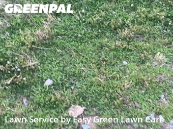 Lawn Maintenance nearby Franklin, TN, 