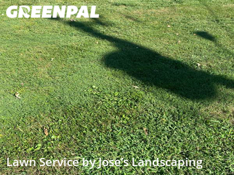 Grass Cut nearby Centreville, VA, 
