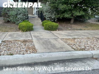 Lawn mowed in San Marcos, 78666