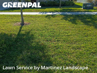 Yard Upkeep in Groveland, 34736, Turf Services by Martinez Landscape, work completed in Dec , 2025