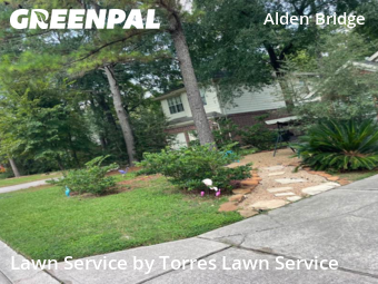 Lawn Mow nearby The Woodlands, TX, 