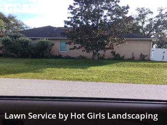 Yard Mowing nearby Spring Hill, FL, 