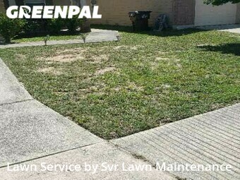 Lawn Care nearby San Antonio, TX, 