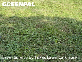 Grass Cuttingin New Braunfels,78130,Lawn Care Service by Texas Lawn Care Serv, work completed in Jun , 2026