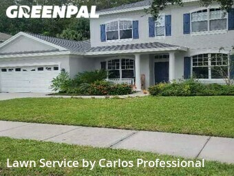 Lawn Mowing Service nearby Oldsmar, FL, 
