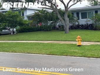 Grass Cut nearby Lake Worth Beach, FL, 