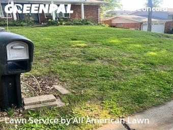 Lawn Cutting nearby St. Louis, MO, 