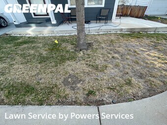 Yard Mowing nearby Thornton, CO, 