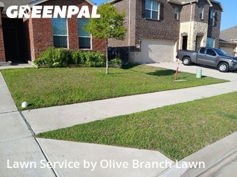 Lawn Care Service nearby Fort Worth, TX, 