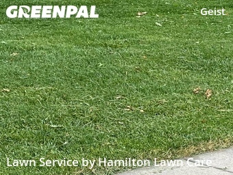 Lawn Care Service nearby Indianapolis, IN, 