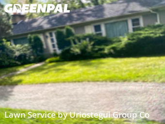 Grass Cut nearby Northbrook, IL, 