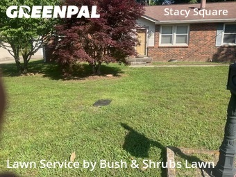 Grass Cut nearby Nashville, TN, 