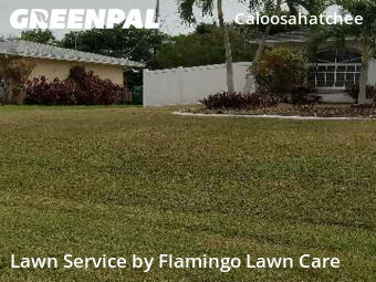Lawn Work in Cape Coral, 33904, Front Yard Mowing by Flamingo Lawn Care, work completed in Nov , 2025