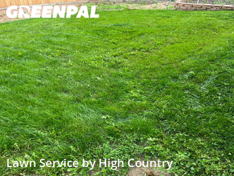 Yard Cutting nearby Thornton, CO, 