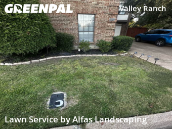 Landscaper In Irving,75063,Landscapers by Alfas Landscaping, work completed in Nov , 2025