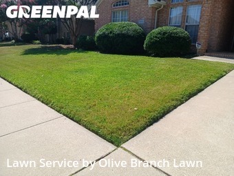 Lawn Cuttingin Haltom City,76137,Lawn Mow by Olive Branch Lawn, work completed in Nov , 2025