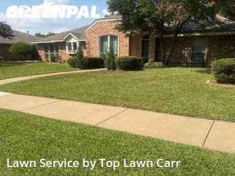 Lawn Mowingin Richardson,75082,Lawn Care by Top Lawn Carr, work completed in Dec , 2025