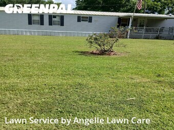 Lawn Cut nearby Scott, LA, 