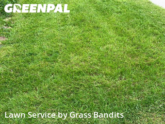 Lawn Cut nearby Billings, MT, 